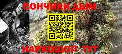 индика Железногорск