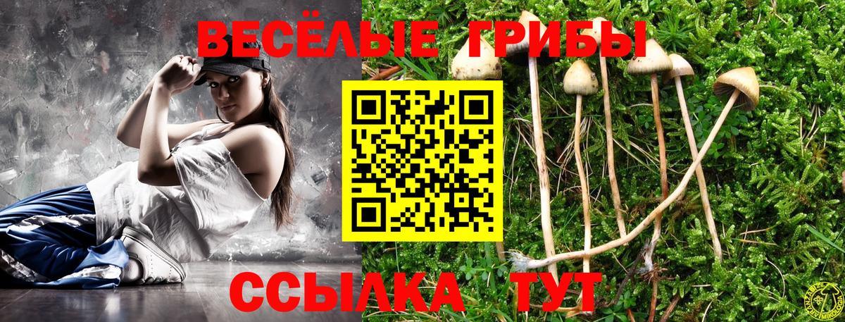 Галлюциногенные грибы ЛСД Лангепас